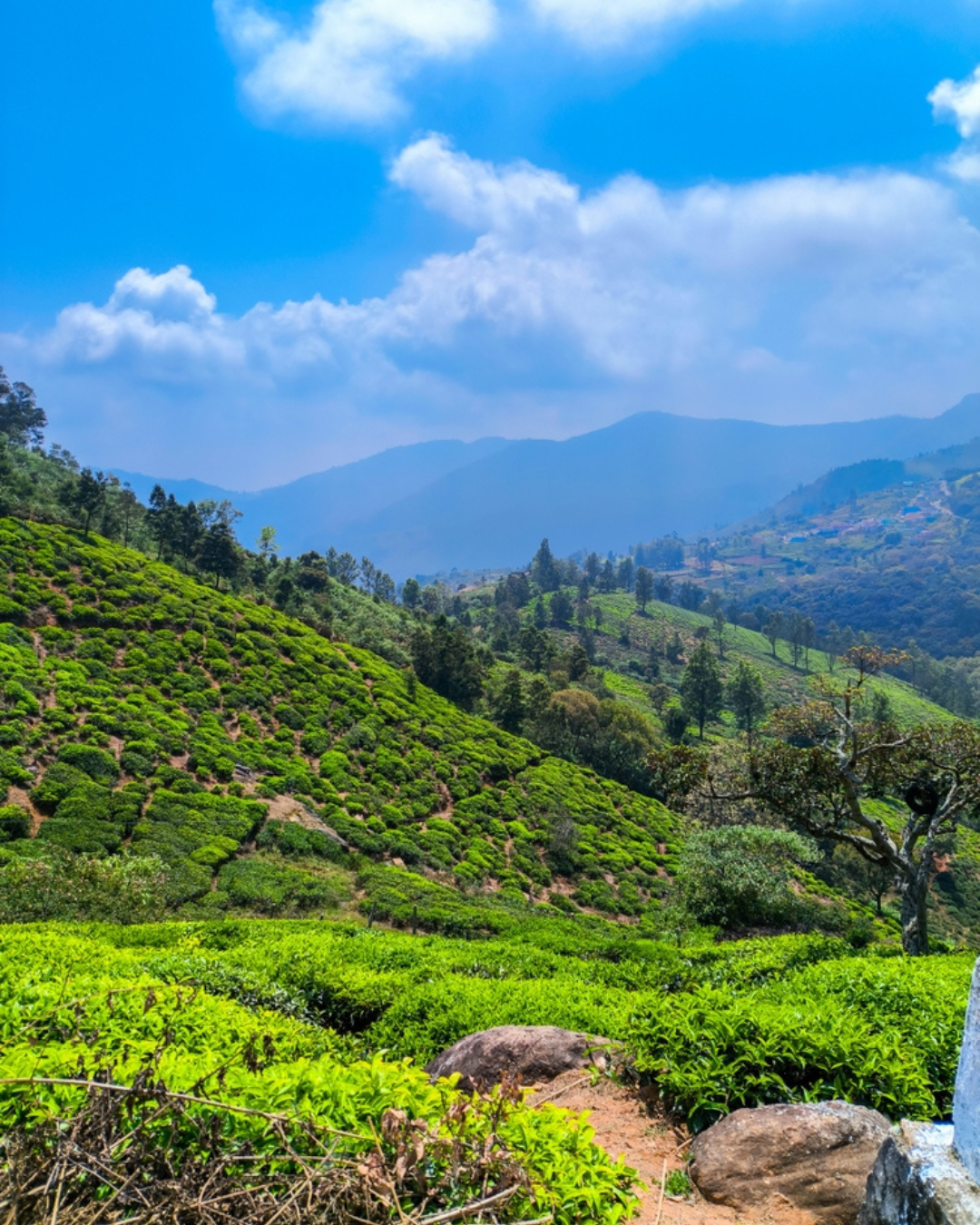 Call Us For More Info +91 9591539533 (3)